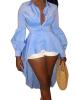 Irregular Lantern Sleeve Single Breasted Blouse