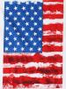 Independence Day Sleeveless Flag Printed Tank Top